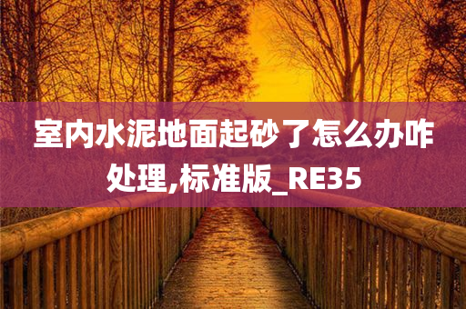 室内水泥地面起砂了怎么办咋处理,标准版_RE35