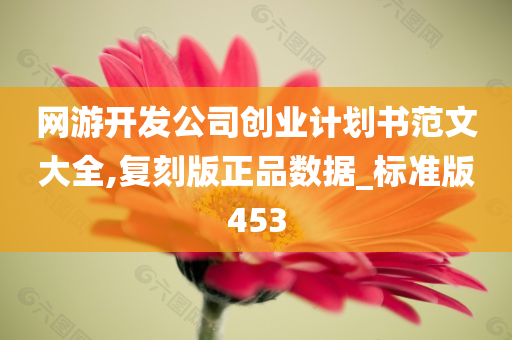 网游开发公司创业计划书范文大全,复刻版正品数据_标准版453