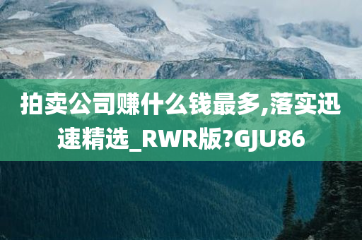 拍卖公司赚什么钱最多,落实迅速精选_RWR版?GJU86