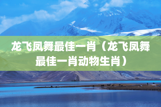 龙飞凤舞最佳一肖（龙飞凤舞最佳一肖动物生肖）