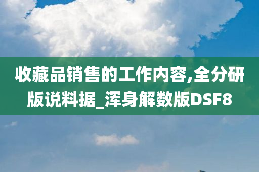 收藏品销售的工作内容,全分研版说料据_浑身解数版DSF8