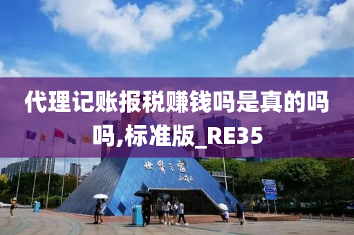 代理记账报税赚钱吗是真的吗吗,标准版_RE35