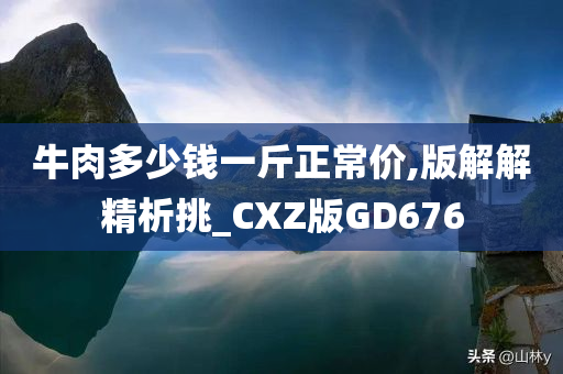 牛肉多少钱一斤正常价,版解解精析挑_CXZ版GD676