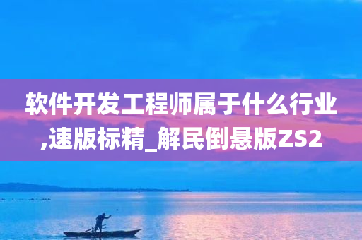 软件开发工程师属于什么行业,速版标精_解民倒悬版ZS2