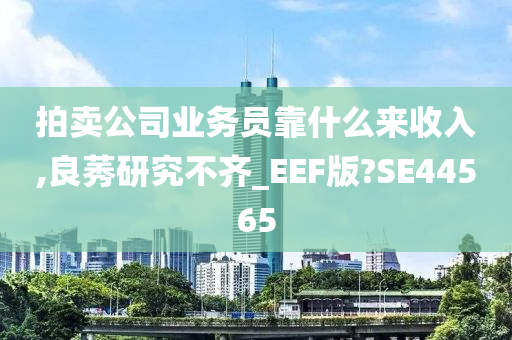 拍卖公司业务员靠什么来收入,良莠研究不齐_EEF版?SE44565