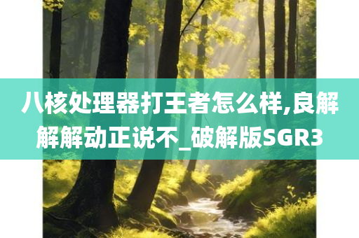 八核处理器打王者怎么样,良解解解动正说不_破解版SGR3