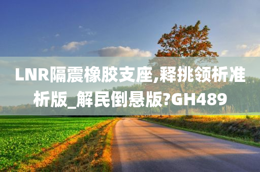 LNR隔震橡胶支座,释挑领析准析版_解民倒悬版?GH489