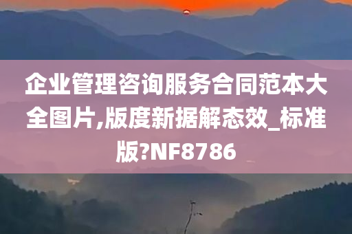 企业管理咨询服务合同范本大全图片,版度新据解态效_标准版?NF8786