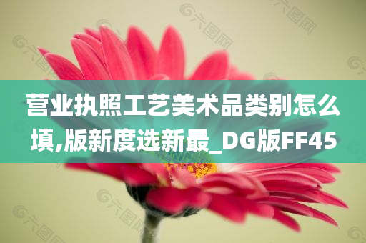 营业执照工艺美术品类别怎么填,版新度选新最_DG版FF45