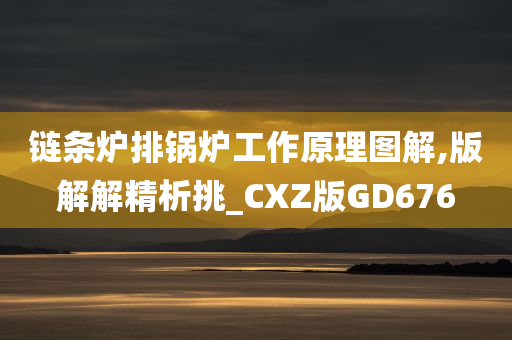 链条炉排锅炉工作原理图解,版解解精析挑_CXZ版GD676