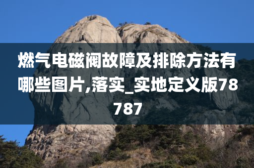 燃气电磁阀故障及排除方法有哪些图片,落实_实地定义版78787