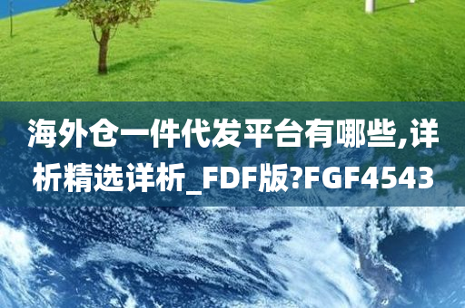 海外仓一件代发平台有哪些,详析精选详析_FDF版?FGF4543