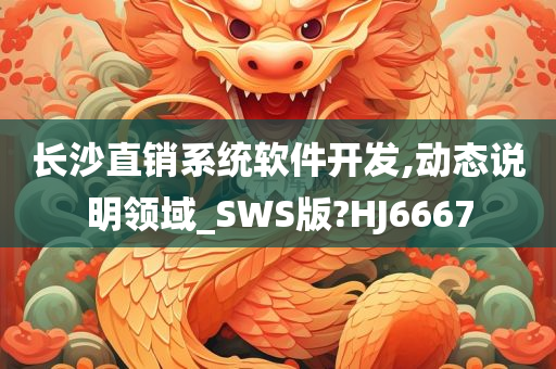 长沙直销系统软件开发,动态说明领域_SWS版?HJ6667