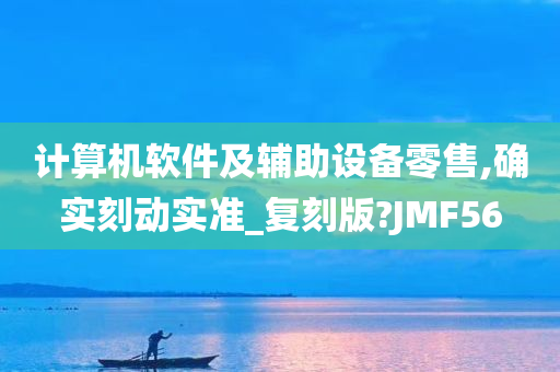 计算机软件及辅助设备零售,确实刻动实准_复刻版?JMF56