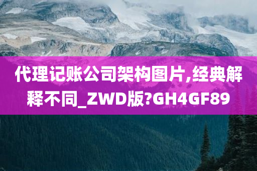 代理记账公司架构图片,经典解释不同_ZWD版?GH4GF89