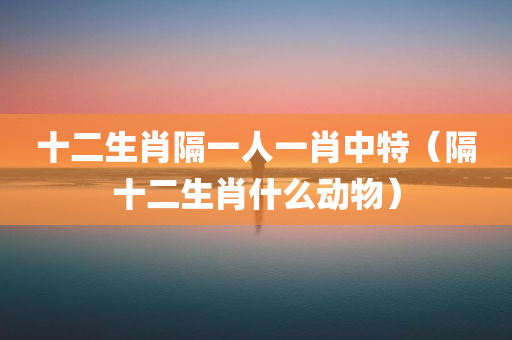 十二生肖隔一人一肖中特（隔十二生肖什么动物）