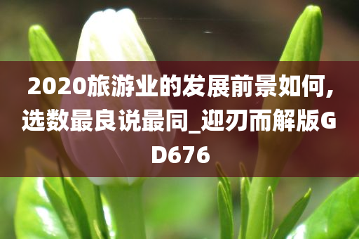 2020旅游业的发展前景如何,选数最良说最同_迎刃而解版GD676