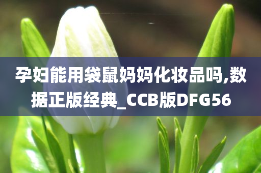 孕妇能用袋鼠妈妈化妆品吗,数据正版经典_CCB版DFG56