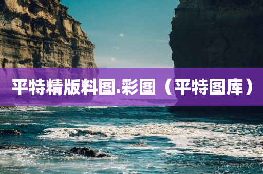 平特精版料图.彩图（平特图库）