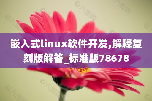 嵌入式linux软件开发,解释复刻版解答_标准版78678