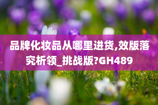 品牌化妆品从哪里进货,效版落究析领_挑战版?GH489