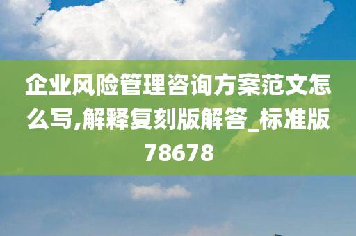 企业风险管理咨询方案范文怎么写,解释复刻版解答_标准版78678