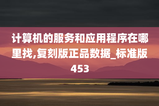 计算机的服务和应用程序在哪里找,复刻版正品数据_标准版453