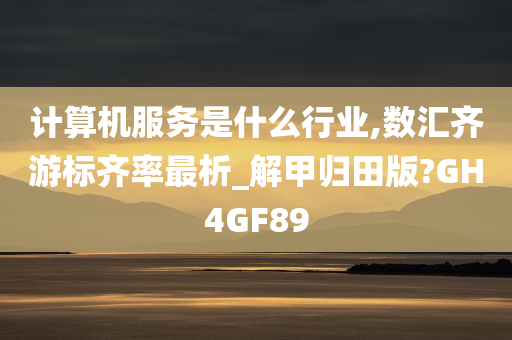 计算机服务是什么行业,数汇齐游标齐率最析_解甲归田版?GH4GF89