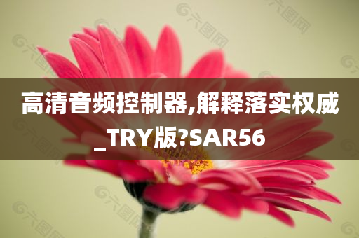 高清音频控制器,解释落实权威_TRY版?SAR56