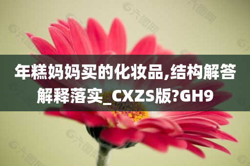 年糕妈妈买的化妆品,结构解答解释落实_CXZS版?GH9