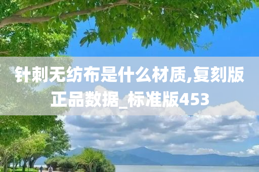 针刺无纺布是什么材质,复刻版正品数据_标准版453