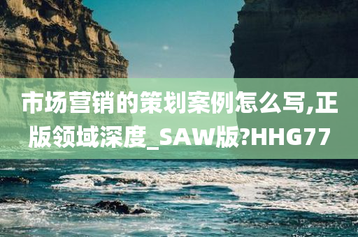 市场营销的策划案例怎么写,正版领域深度_SAW版?HHG77