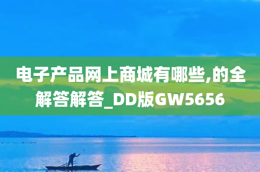 电子产品网上商城有哪些,的全解答解答_DD版GW5656