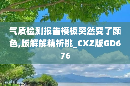 气质检测报告模板突然变了颜色,版解解精析挑_CXZ版GD676