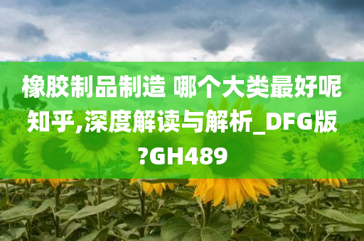 橡胶制品制造 哪个大类最好呢知乎,深度解读与解析_DFG版?GH489