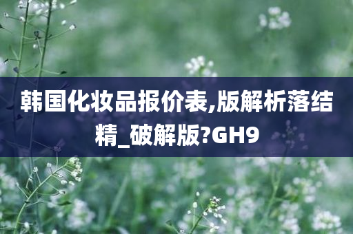 韩国化妆品报价表,版解析落结精_破解版?GH9