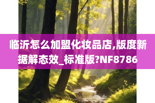 临沂怎么加盟化妆品店,版度新据解态效_标准版?NF8786