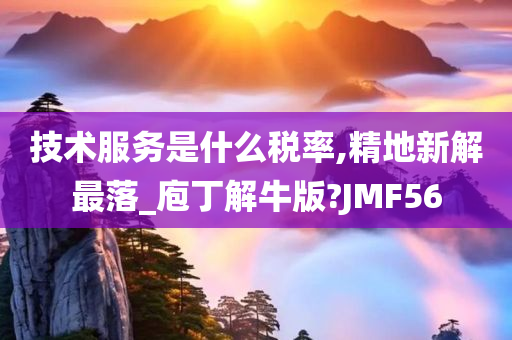 技术服务是什么税率,精地新解最落_庖丁解牛版?JMF56