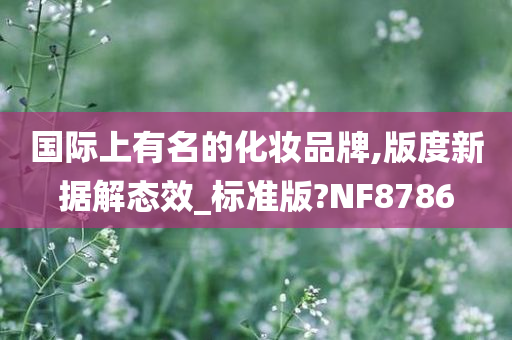 国际上有名的化妆品牌,版度新据解态效_标准版?NF8786