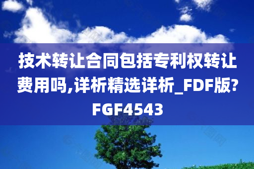 技术转让合同包括专利权转让费用吗,详析精选详析_FDF版?FGF4543