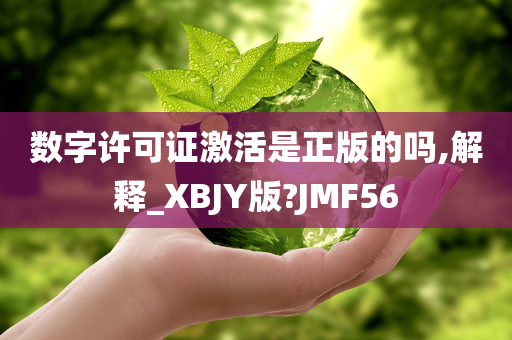 数字许可证激活是正版的吗,解释_XBJY版?JMF56