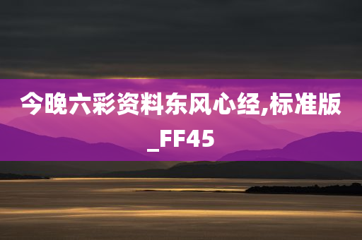 今晚六彩资料东风心经,标准版_FF45