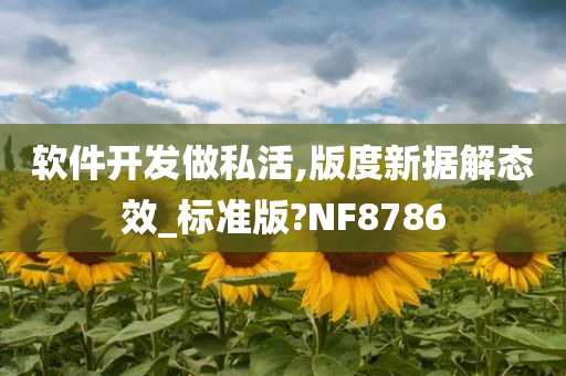 软件开发做私活,版度新据解态效_标准版?NF8786