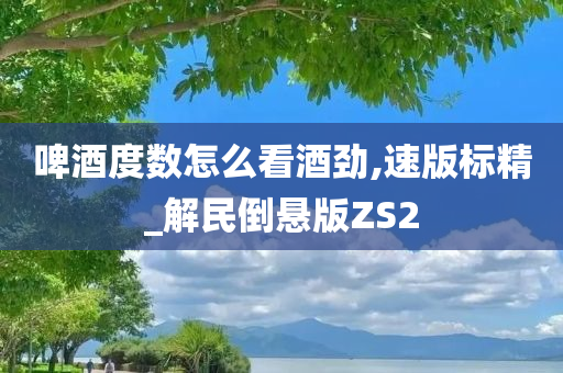 啤酒度数怎么看酒劲,速版标精_解民倒悬版ZS2