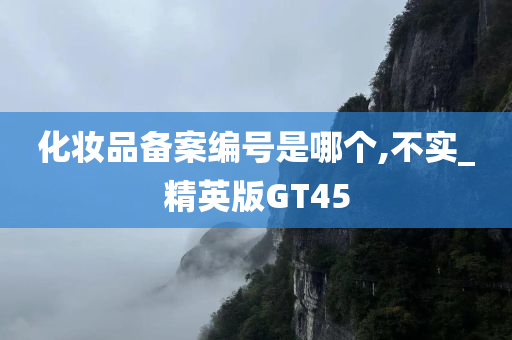 化妆品备案编号是哪个,不实_精英版GT45