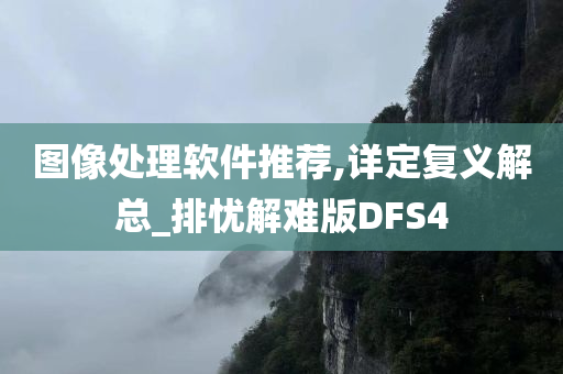 图像处理软件推荐,详定复义解总_排忧解难版DFS4