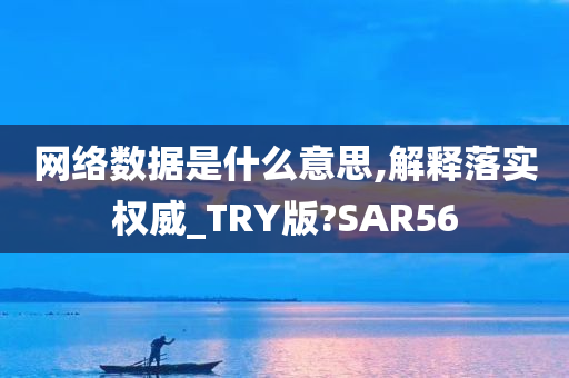 网络数据是什么意思,解释落实权威_TRY版?SAR56