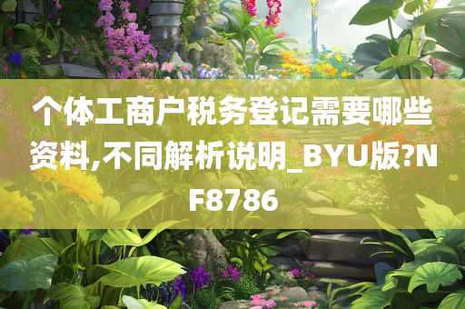 个体工商户税务登记需要哪些资料,不同解析说明_BYU版?NF8786