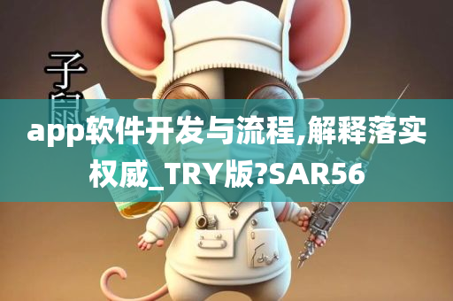 app软件开发与流程,解释落实权威_TRY版?SAR56