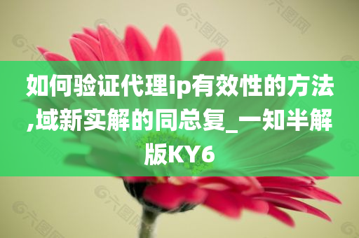 如何验证代理ip有效性的方法,域新实解的同总复_一知半解版KY6